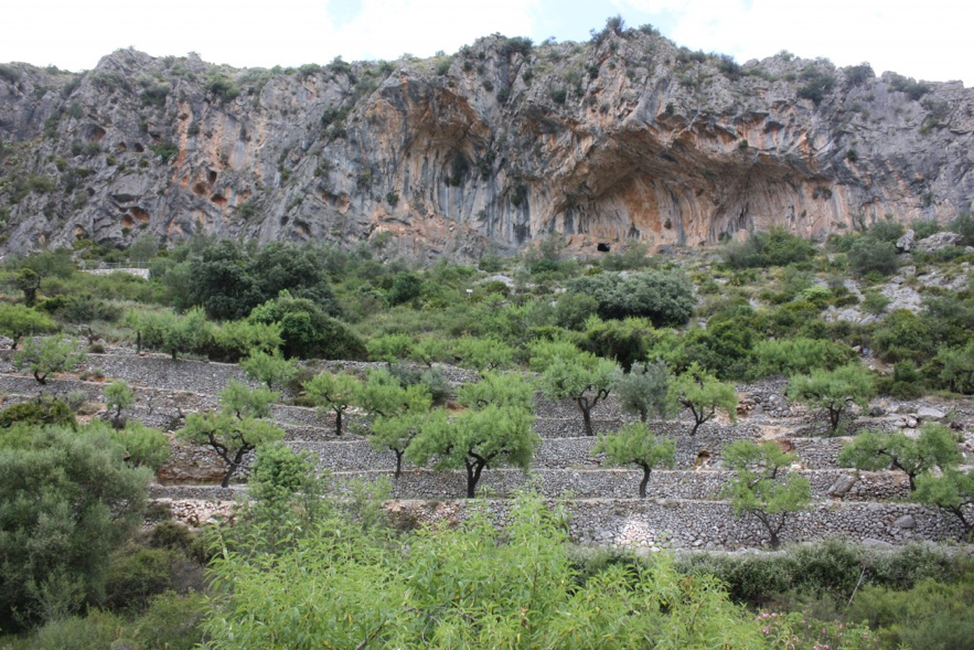 (c) Castelldecastells.es